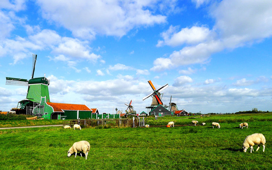 最美荷兰景色曝光