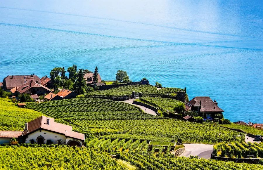 风光里的瑞士，用镜头诠释山巅湖泊河畔